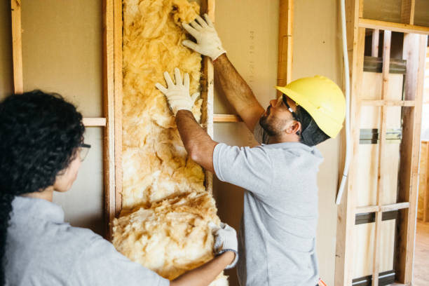 Insulation Repair Services in Lineville, AL