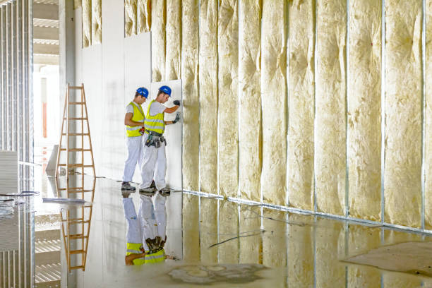 Trusted Lineville, AL Insulation Contractor Experts